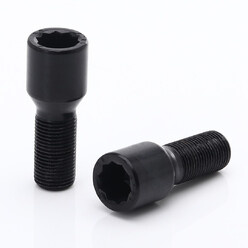 Vis de Roue Noires à Empreinte Interne M12x1.25 (Pack de 20)