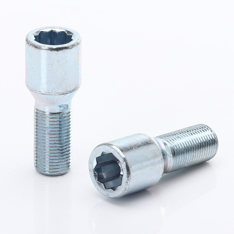 Vis de Roue Argentées à Empreinte Interne M12x1.75 (Pack de 20)