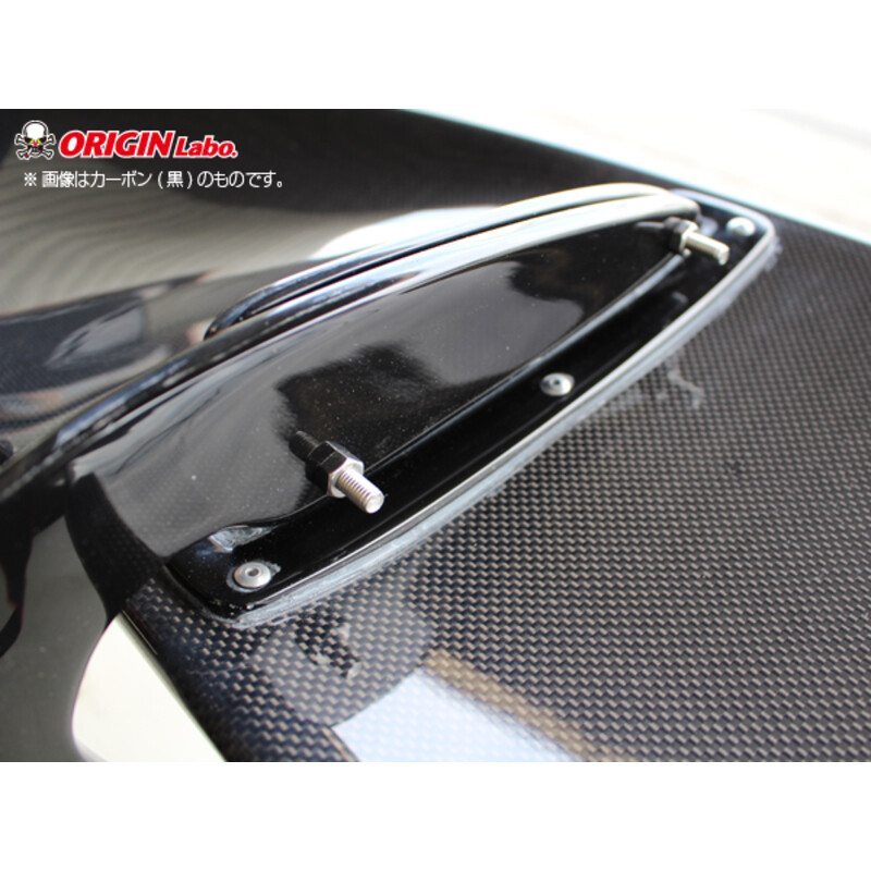Aileron Origin Labo en Carbone "Snake Style" (160 cm)