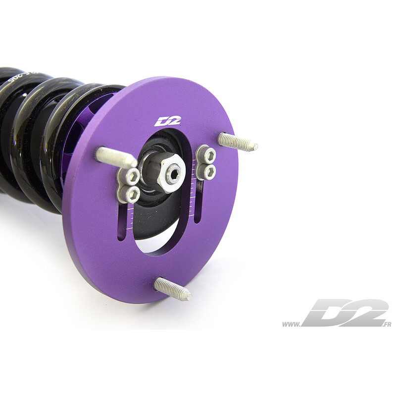 Combinés Filetés D2 Street pour BMW M5 E39 (98-03)