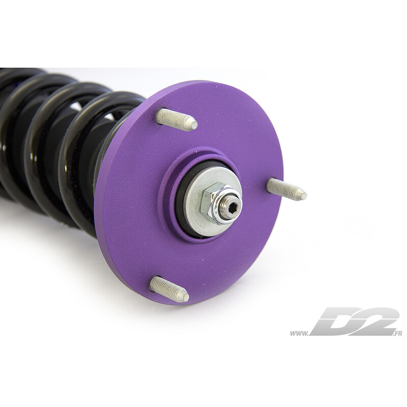Combinés Filetés D2 Street pour BMW M5 E39 (98-03)