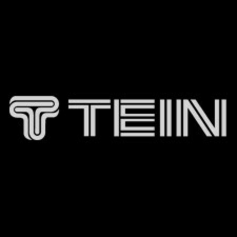 Sticker Logo Tein Argenté - 30 cm