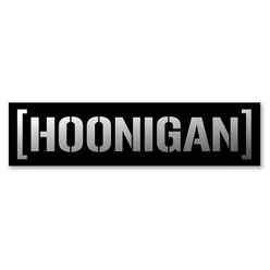 Sticker Hoonigan Argenté (20 cm)