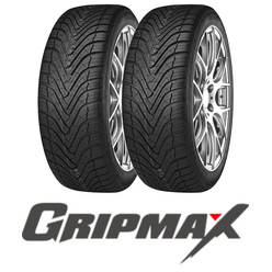 Pneus Gripmax SUREGRIP AS NANO 235/60 R17 102V (la paire)