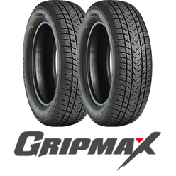 Pneus Gripmax SUREGRIP eWINTER XL 205/45 R17 88V (la paire)