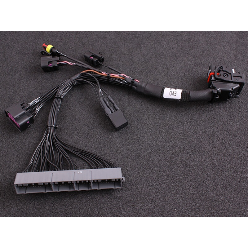 Adaptateurs de Faisceaux "Plug-in" MaxxECU