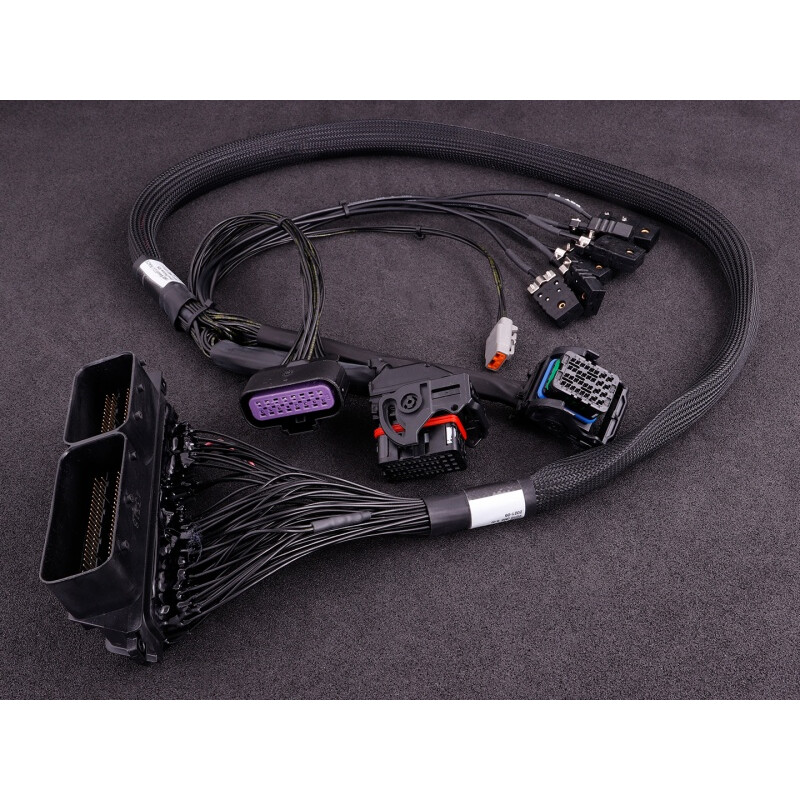 Adaptateurs de Faisceaux "Plug-in" MaxxECU