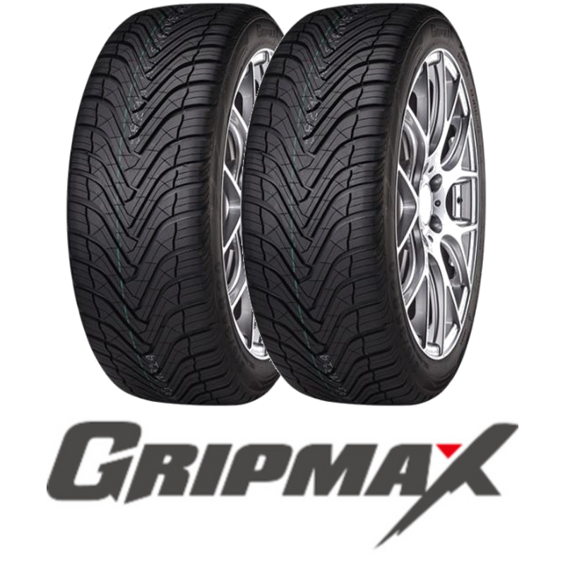 Pneus Gripmax SUREGRIP AS XL 255/40 R20 101W (la paire)
