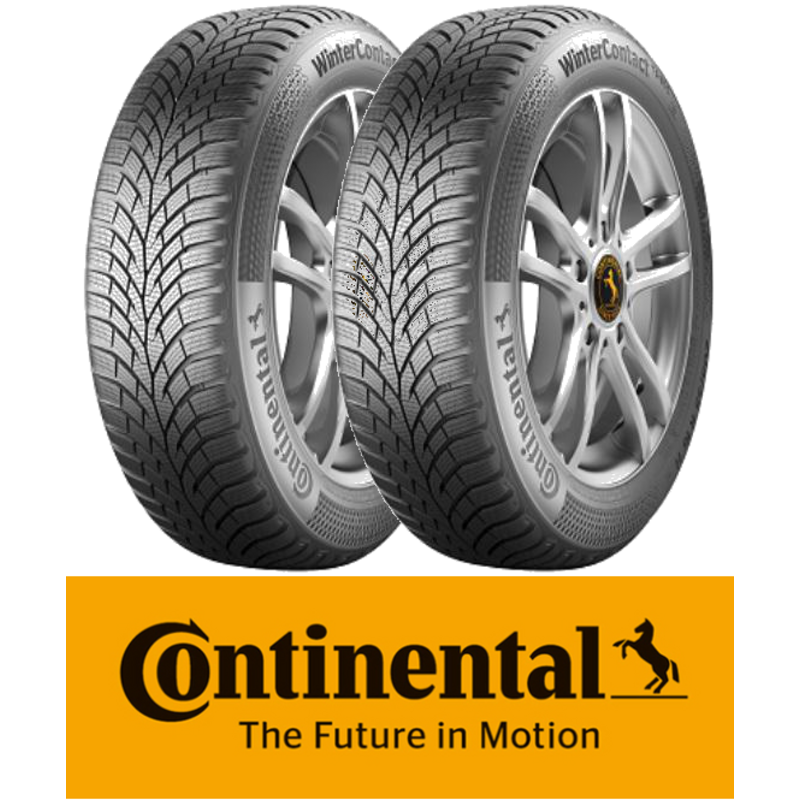 Pneus Continental TS-870 205/55 R16 91H (la paire)