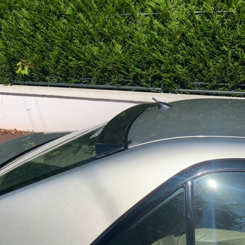 Aileron de Toit pour Lexus IS200 & IS300